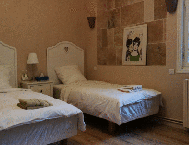 Château des Vignes - group accommodation rental Bordeaux (10)
