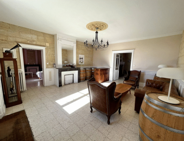 Château des Vignes - group accommodation rental Bordeaux (13)