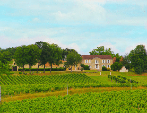 Château des Vignes - group accommodation rental Bordeaux (2)