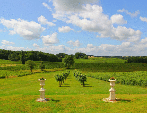 Château des Vignes - group accommodation rental Bordeaux (3)