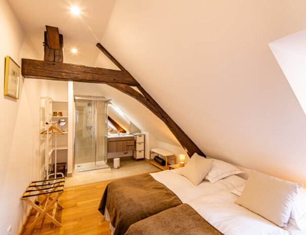 Château du Val Lama (29)