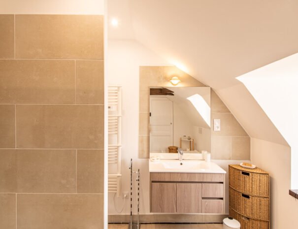 Château du Val Lama (31)