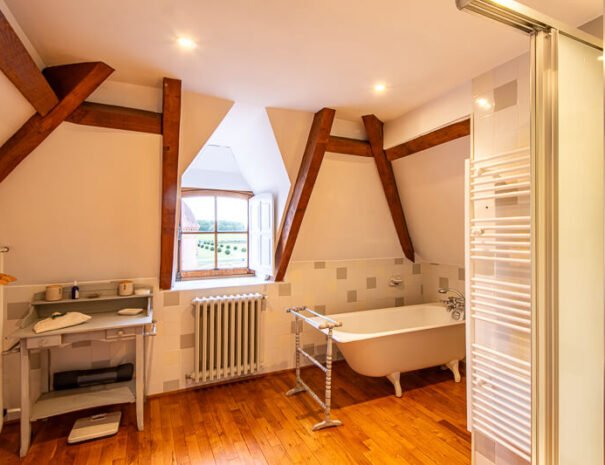 Château du Val Lama (35)