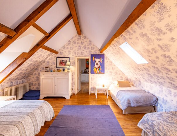 Château du Val Lama (36)