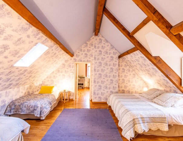 Château du Val Lama (37)