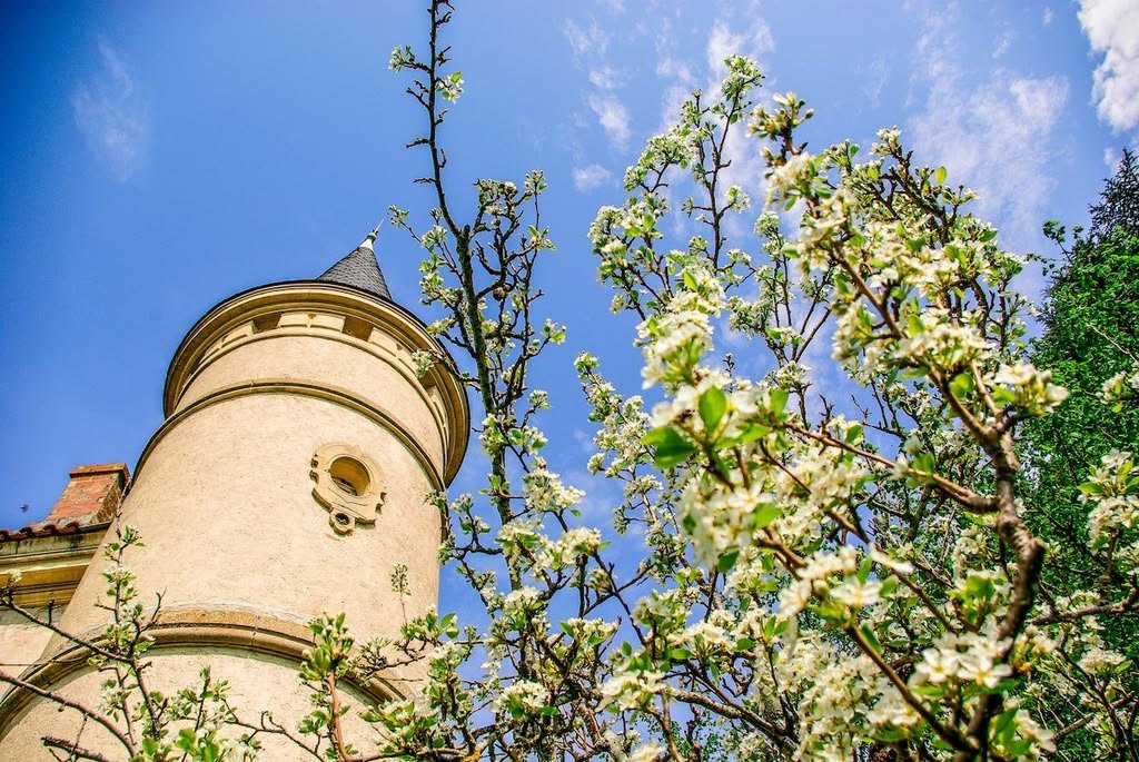 The tower in spring blossom