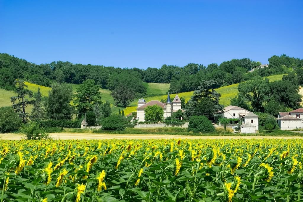 Sunflower fields and rolling hills of the Tarn-et-Garonne